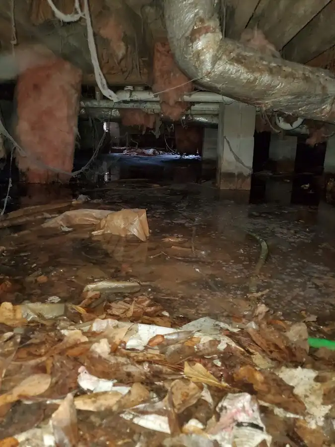 Crawl space flood assessment for Leak Detection & Repair in Gainesville