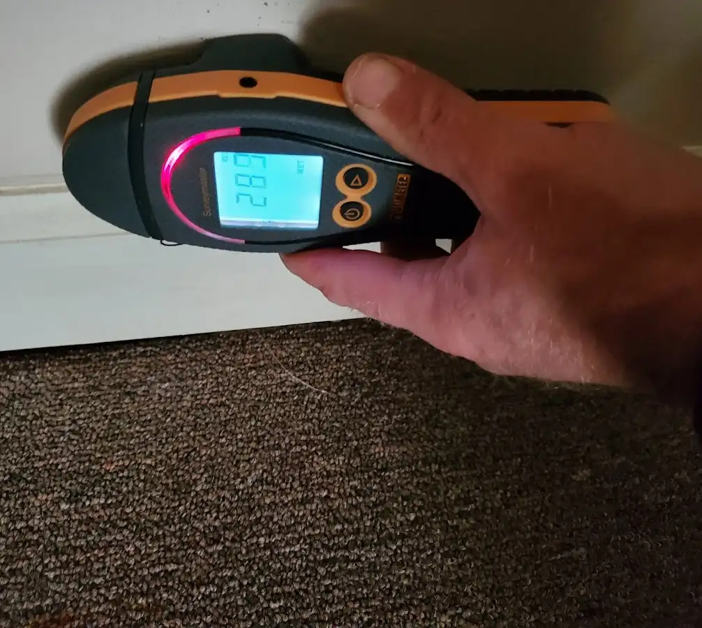 Moisture detection at baseboard during Mold Inspection & Testing in Gainesville